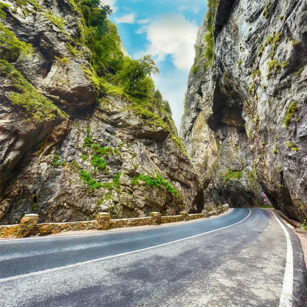 Muhteşem yaz görünümünü Bicaz Kanyon/Cheile Bicazului. Kanyon Romanya'da en muhteşem yollar biridir. Etkileyici sahne Neamt County, Romanya, Karpat Dağları, Avrupa