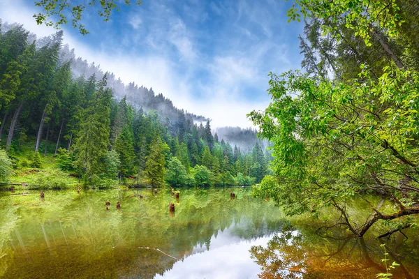 Majestic Yaz Dağ Gölü Lacul Rosu Veya Red Lake Katil — Stok fotoğraf