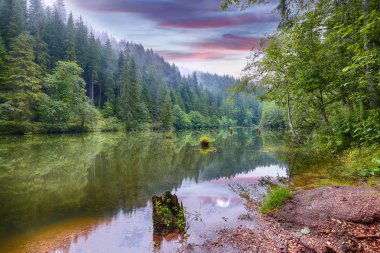 Dağ gölü Lacul Rosu veya Red Lake görkemli yaz görünümünü veya 