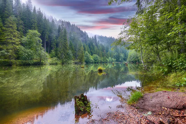 Majestosa vista de verão do lago de montanha Lacul Rosu ou Red Lake ou — Fotografia de Stock