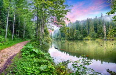 Dağ gölü Lacul Rosu veya Red Lake görkemli yaz görünümünü veya 