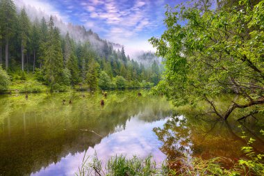 Dağ gölü Lacul Rosu veya Red Lake görkemli yaz görünümünü veya 
