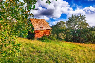 Ormanlık tepeler ve çimenli beni ile görkemli kırsal manzara