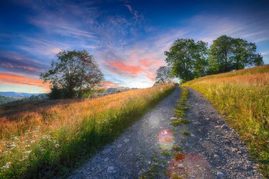 Ormanlık tepeler ve çimenli beni ile görkemli kırsal manzara