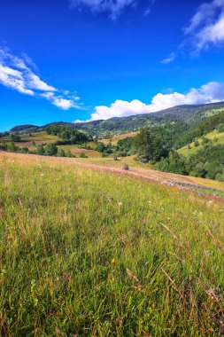 Ormanlık tepeler ve samanlık ile güzel kırsal manzara