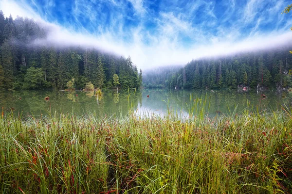 Majestuosa vista de verano del lago de montaña Lacul Rosu o Lago Rojo o —  Fotos de Stock