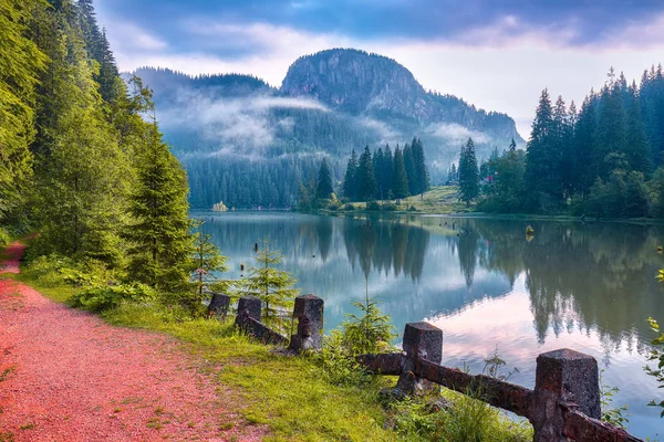 Majestic vista estiva del lago di montagna Lacul Rosu o Red Lake o — Foto Stock