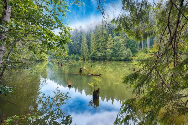 Majestosa vista de verão do lago de montanha Lacul Rosu ou Red Lake ou — Fotografia de Stock