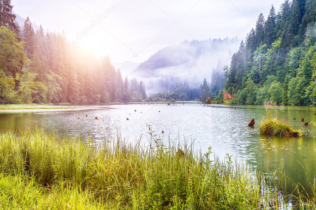 Majestic summer view of mountain lake Lacul Rosu or Red Lake or 