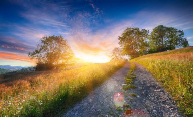 Ormanlık tepeler ve çimenli beni ile görkemli kırsal manzara