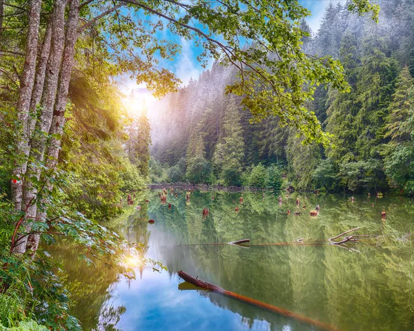 Majestosa vista de verão do lago de montanha Lacul Rosu ou Red Lake ou — Fotografia de Stock