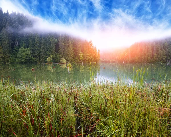 Majestic summer view of mountain lake Lacul Rosu or Red Lake or — Stock Photo, Image