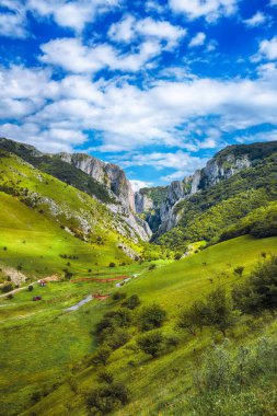 Turda geçit Cheile Turzii işaretli izi ile doğal bir rezerv