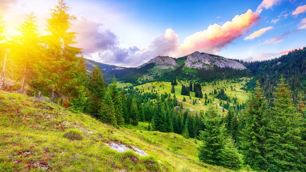 View of Pietrele Albe mountaine peak at summer time. Majestic su — Stock Photo, Image