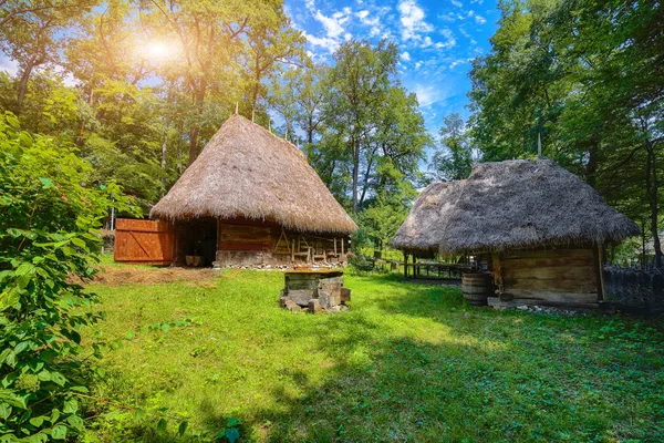 Veduta delle case contadine tradizionali rumene in Transilvania, Rom — Foto Stock