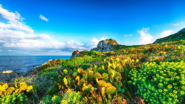 Dramatyczny wiosenny zachód słońca na przylądku Milazzo Panorama Natur — Zdjęcie stockowe