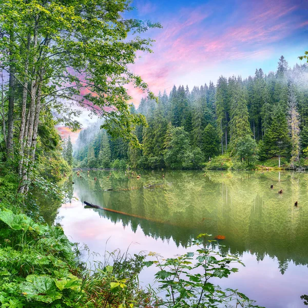 Majestosa vista de verão do lago de montanha Lacul Rosu ou Red Lake ou — Fotografia de Stock
