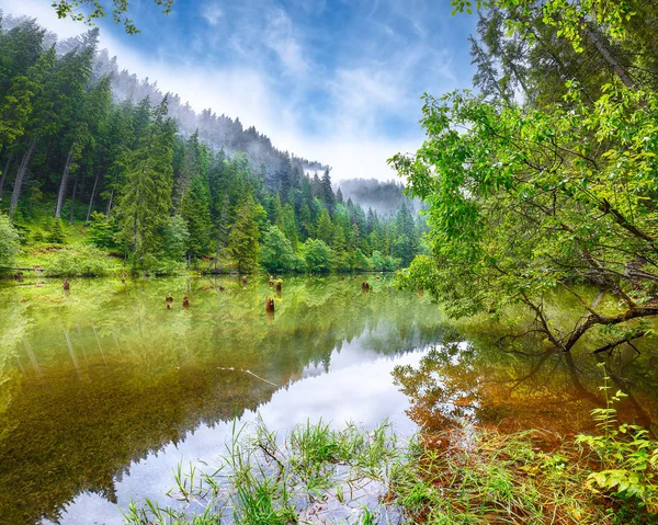 山湖 Lacul Rosu またはレッド湖の雄大な夏景色や — ストック写真