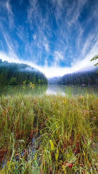 Pohled na majestátní letní horské jezero také Rosu nebo Red Lake nebo — Stock fotografie