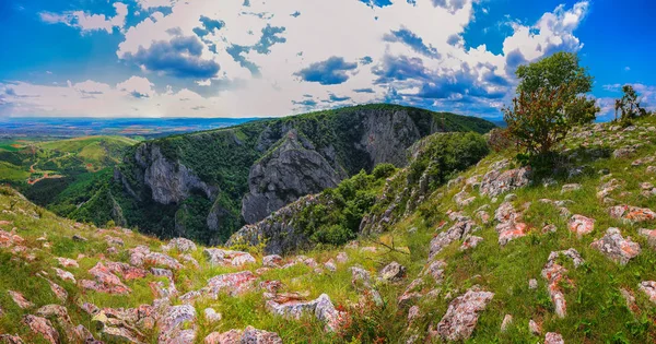 Турда ущелье Cheile Turzii является природным заповедником с заметным след — стоковое фото
