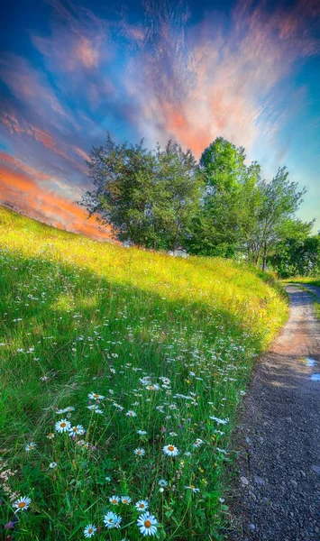 Majestuoso paisaje rural con colinas boscosas y hierba me —  Fotos de Stock