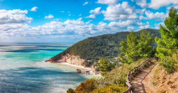 风景如画的小岛法拉廖尼迪普利亚在夏季亚得里亚海b — 图库照片