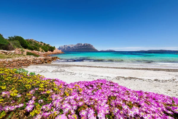 Fantastic azure water with rocks and lots of flowers at Doctors — Stock Photo, Image