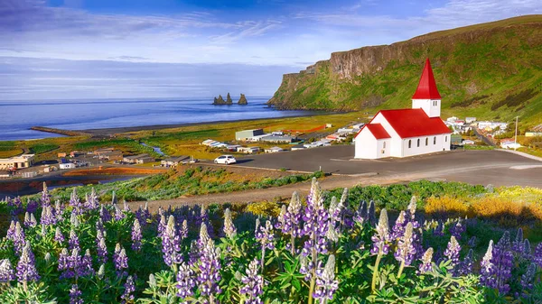 Splendide vue sur l'église chrétienne Vikurkirkja en fleurs lupin — Photo