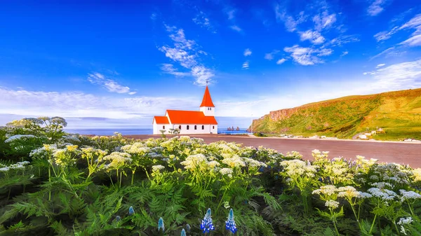 Vacker utsikt över vikurkirkja kristna kyrkan i blommande blo — Stockfoto