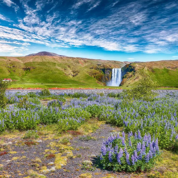 Beau paysage de la majestueuse cascade de Skogafoss dans le pays — Photo