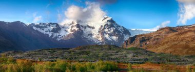 Çiçek açan lupine çiçek alanı ile tipik İzlanda manzara