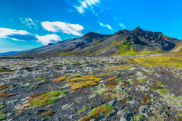 Tipikus kilátás Izland sziklás láva síkság, borított mellett moha és — Stock Fotó