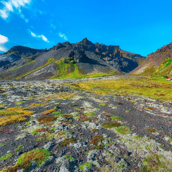 Tipikus kilátás Izland sziklás láva síkság, borított mellett moha és — Stock Fotó