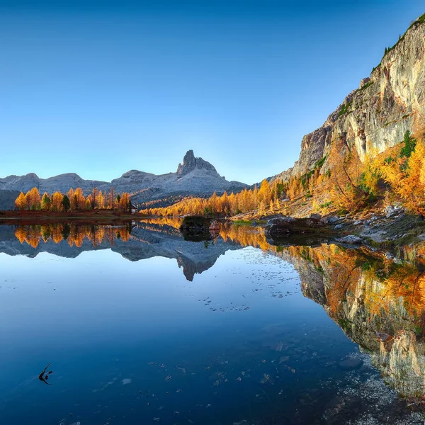 Fantastic autumn landscape. View on Federa Lake early in the mor — Stock Photo, Image