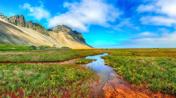 Fantastisk solig dag och vacker äng nära Vestrahorn mountaine — Stockfoto