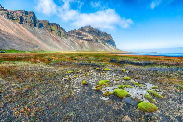 Csodálatos napsütéses nap és gyönyörű rét a Vestrahorn-hegy közelében — Stock Fotó