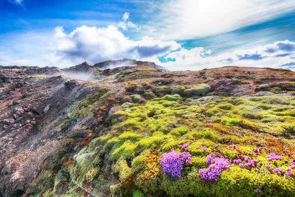 Vista esotica del campo di lava nella valle geotermica Leirhnjukur , — Foto Stock