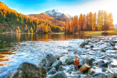 Champfer Gölü 'nün muhteşem sonbahar manzarası. Gölde ayna yansıması. Konum: Silvaplana, Maloya bölgesi, Engadine bölgesi, Grisons kantonu, İsviçre, Avrupa.