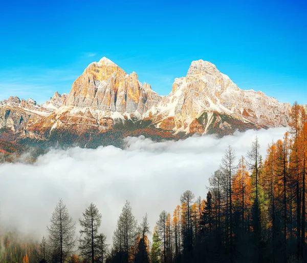 Astonishing Autumn Sunny Landscape View Tofana Rozes Cinque Torri Location — Stock Photo, Image