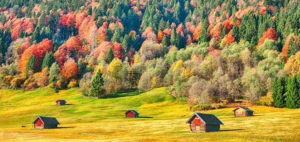 Fantastisk Utsikt Över Alpin Dal Med Trähus Nära Wagenbruchsee Geroldsee — Stockfoto