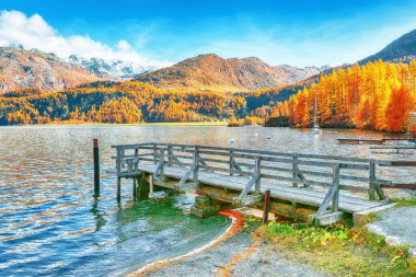 İsviçre Alpleri 'ndeki resimli sonbahar sahnesi ve Sils Lake (Silsersee) manzarası. İsviçre Alpleri 'nin renkli sonbahar sahnesi. Konum: Maloya, Engadine bölgesi, Grisons kantonu, İsviçre, Avrupa.