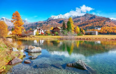 Sils im Engadin (Segl) köyü ve Sils Gölü 'nün (Silsersee) muhteşem sonbahar sahnesi. Konum: Sils im Engadin, Maloya bölgesi, Engadine bölgesi, Grisons kantonu, İsviçre, Avrupa.