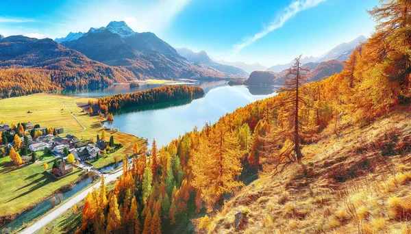 Stunning Autumn Scene Sils Engadin Segl Village Sils Lake Silsersee — Stock Photo, Image