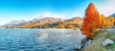 Küçük beyaz yatlı Sils Gölü 'nün (Silsersee) resimli sonbahar manzarası. İsviçre Alpleri 'nin renkli sonbahar sahnesi. Konum: Maloya, Engadine bölgesi, Grisons kantonu, İsviçre, Avrupa.