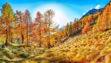 Sils im Engadin (Segl) köyü ve Sils Gölü (Silsersee) üzerinde fantastik bir sonbahar manzarası. Konum: Sils im Engadin, Maloya bölgesi, Engadine bölgesi, Grisons kantonu, İsviçre, Avrupa.