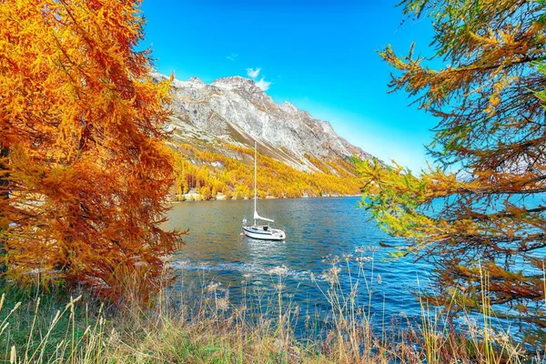 Picturesque autumn views of Sils Lake (Silsersee) with small white yacht. Colorful autumn scene of Swiss Alps. Location: Maloya, Engadine region, Grisons canton, Switzerland, Europe.