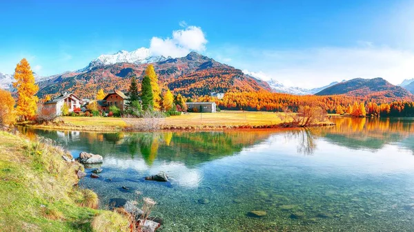 Spectacular Autumn Scene Sils Engadin Segl Village Sils Lake Silsersee — Stock Photo, Image