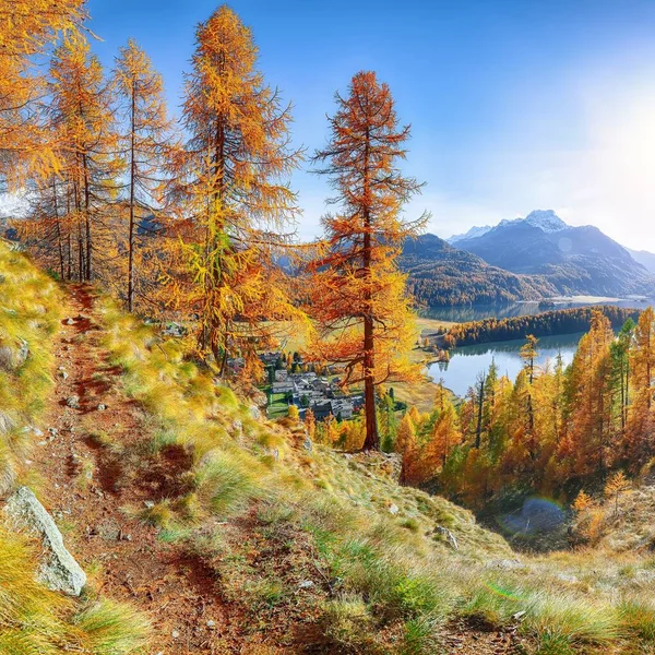 Fantastic Autumn Panorama Sils Engadin Segl Village Sils Lake Silsersee — Stock Photo, Image