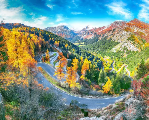 Sonbahar zamanı Maloja 'nın muhteşem geçiş yolu manzarası. İsviçre Alpleri 'nin renkli sonbahar sahnesi. Konum: Maloya geçidi, Motor bölgesi, Grisons kantonu, İsviçre, Avrupa.