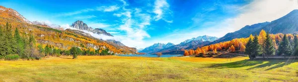 Charming Autumn Scene Swiss Alps Views Sils Lake Silsersee Colorful — Stock Photo, Image